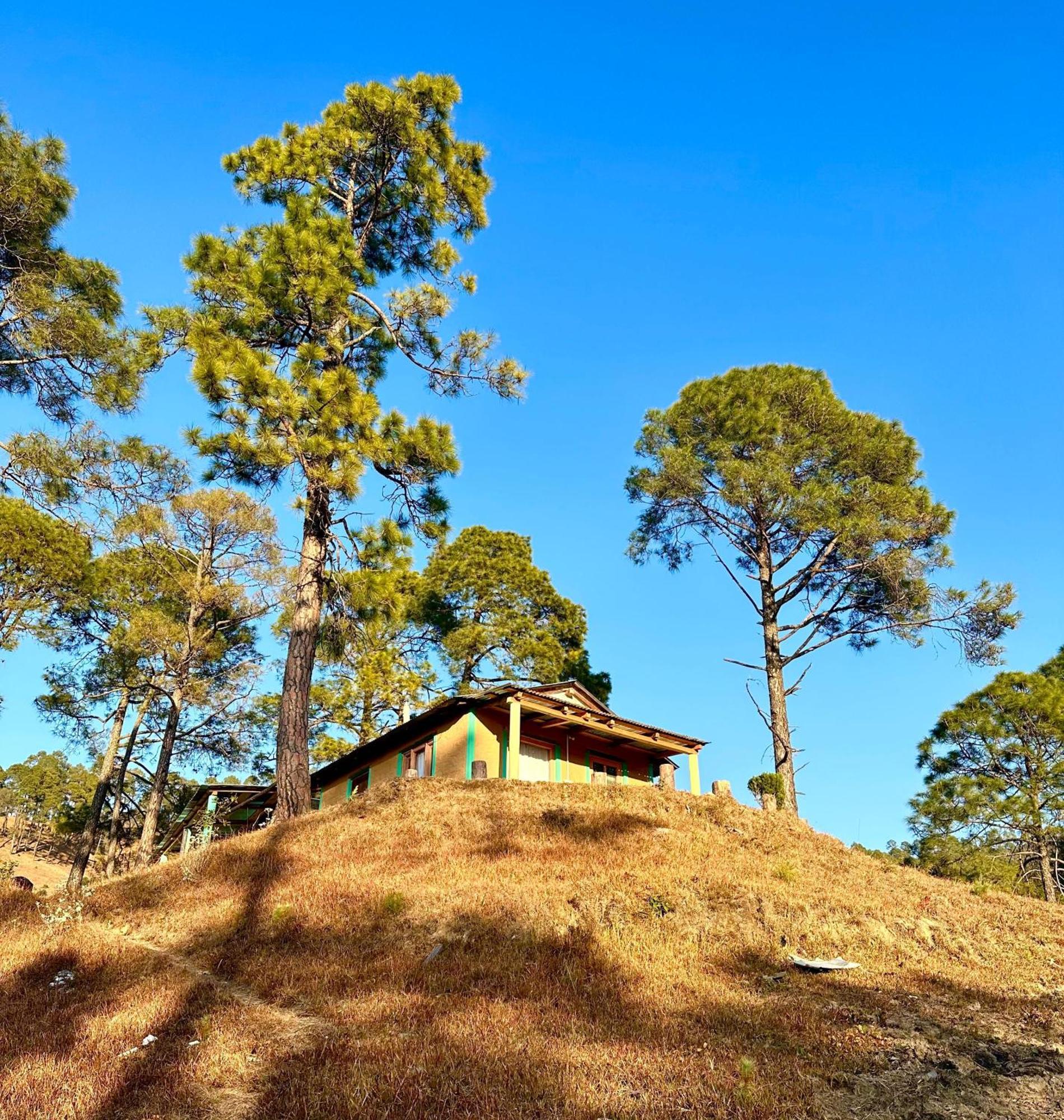 Joshi Cottage Binszar Kültér fotó